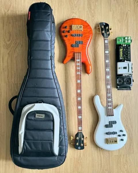 Deux guitares basses posées à côté de leur étui de transport